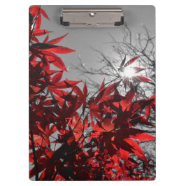 Carpeta De Pinza Ascuas de Otoño