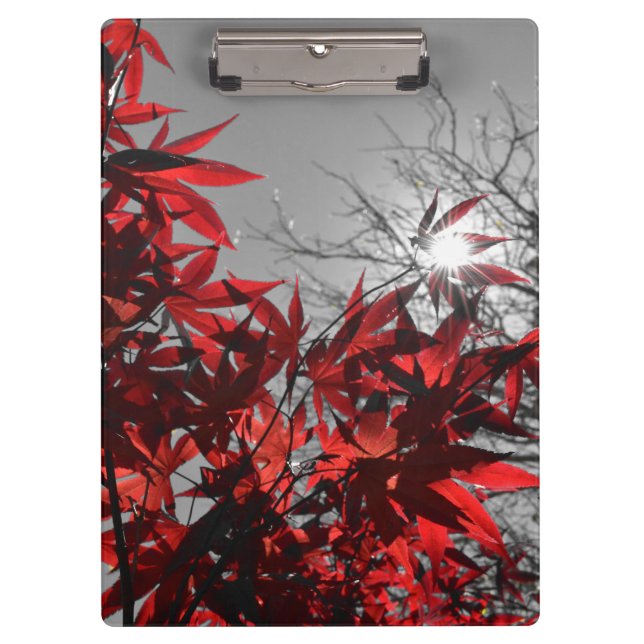 Carpeta De Pinza Ascuas de Otoño (Anverso)