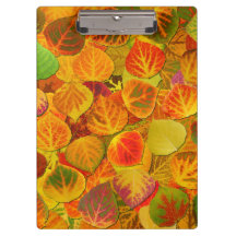 Aspen Deja Collage Sólido Medley 1