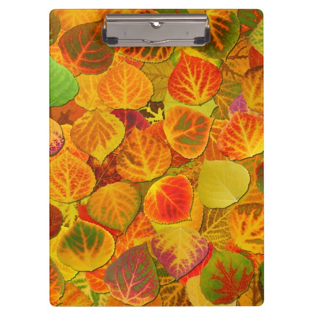 Carpeta De Pinza Aspen Deja Collage Sólido Medley 1 (Anverso)