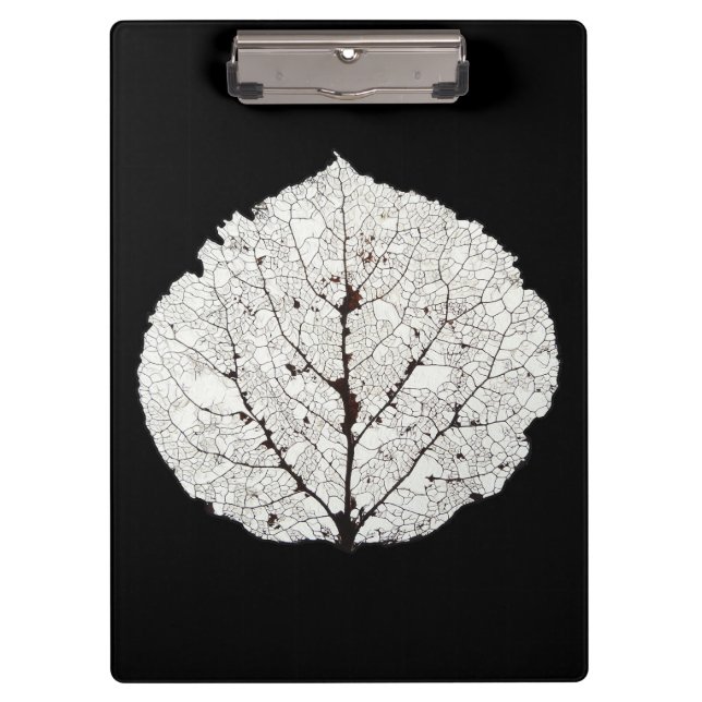 Carpeta De Pinza Aspen Leaf Skeleton 1 (Anverso)