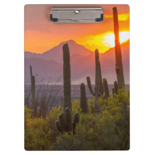 Carpeta De Pinza Atardecer de cactus del desierto, Arizona