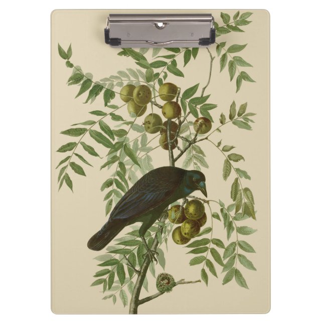 Carpeta De Pinza Audubon American Crow Black Bird (Anverso)