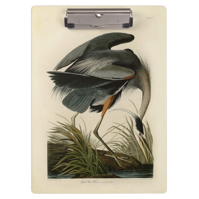 Carpeta De Pinza Audubon Great Blue Heron Marsh Bird (Anverso)
