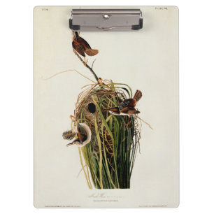 Carpeta De Pinza Audubon Marsh Wren Bird Art