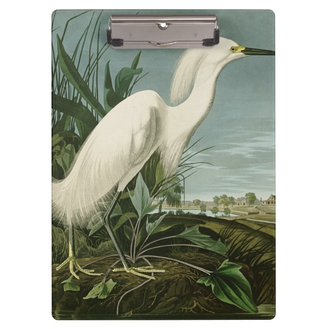 Carpeta De Pinza Audubon Snowy Heron White Egret Bird Birding (Anverso)