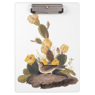 Carpeta De Pinza Audubon Vesper Sparrow y Pricky Pear Cactus