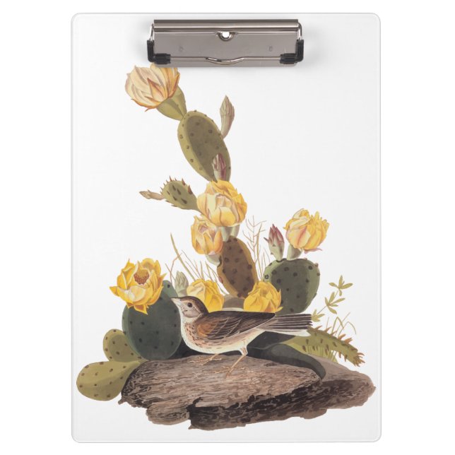 Carpeta De Pinza Audubon Vesper Sparrow y Pricky Pear Cactus (Anverso)