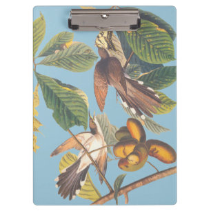 Carpeta De Pinza Audubon Yellow Bilckoo