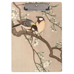 Carpeta De Pinza Ave del pájaro Koson de Asia
