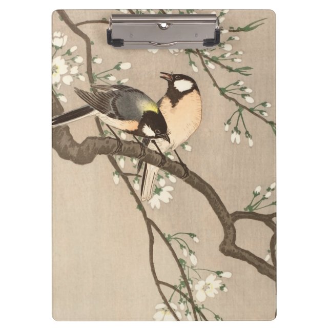 Carpeta De Pinza Ave del pájaro Koson de Asia (Anverso)