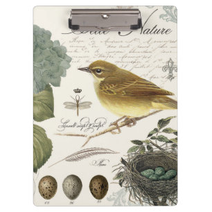 Carpeta De Pinza ave francesa vintage moderna y nido