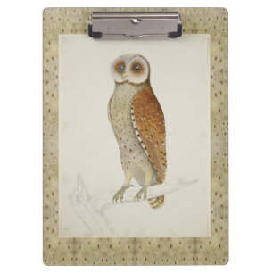 Carpeta De Pinza Ave natural vintage rústica de búho barn bay