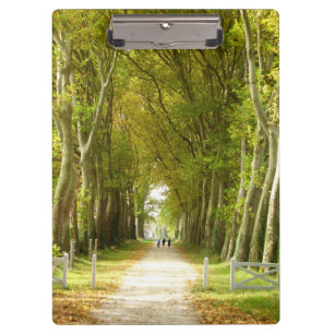 Carpeta De Pinza Avenue of Trees Clipboard