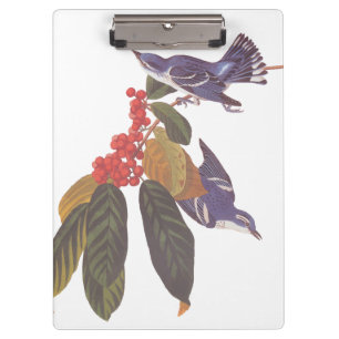 Carpeta De Pinza Aves de Audubon con bayas de oso