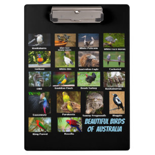 Carpeta De Pinza Aves de Australia