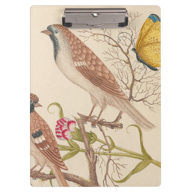 Carpeta De Pinza Aves marrones con claveles y mariposas (Anverso)