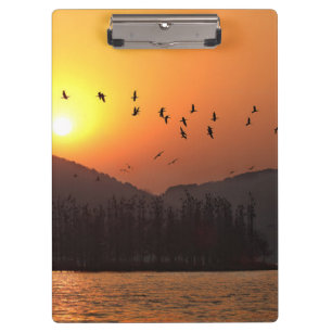 Carpeta De Pinza Aves volando en Sunset Sky sobre East Lake Photo