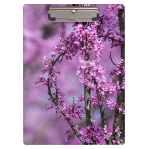 Carpeta De Pinza Avondale Redbud Art