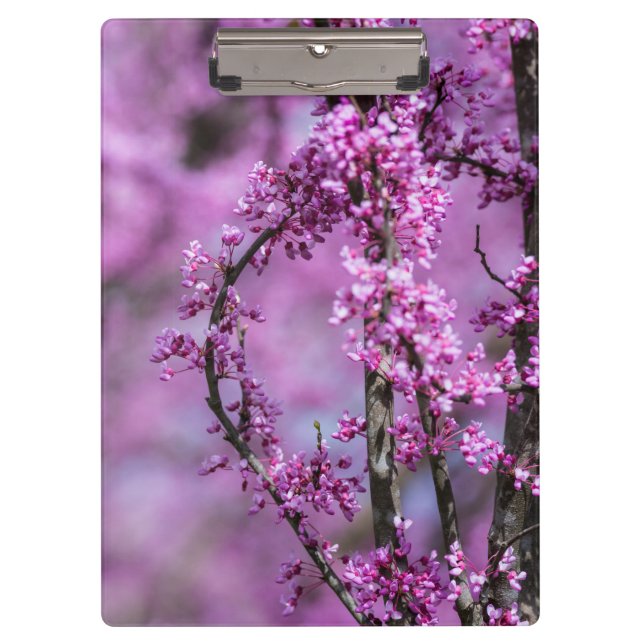 Carpeta De Pinza Avondale Redbud Art (Anverso)