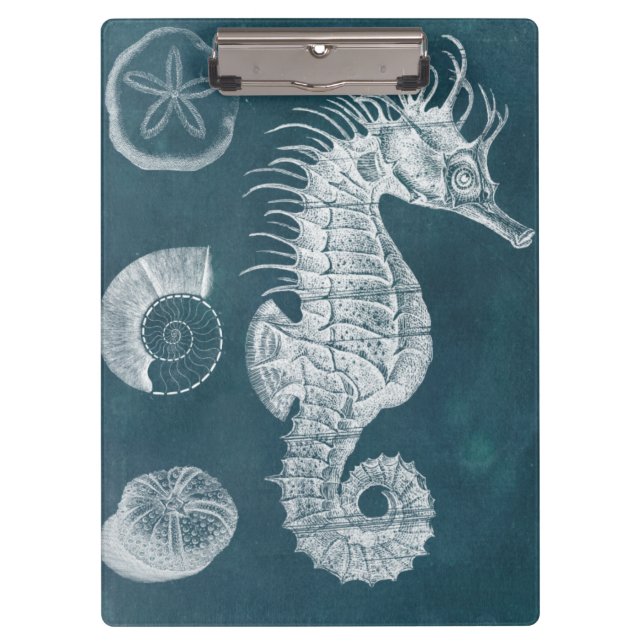 Carpeta De Pinza Azure Seahorse Study I (Anverso)