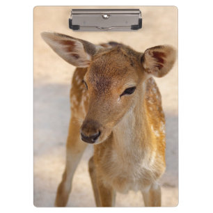 Carpeta De Pinza Baby Deer