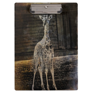 Carpeta De Pinza Baby Giraffe