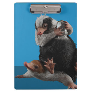 Carpeta De Pinza Baby Nifflers Find A Prize