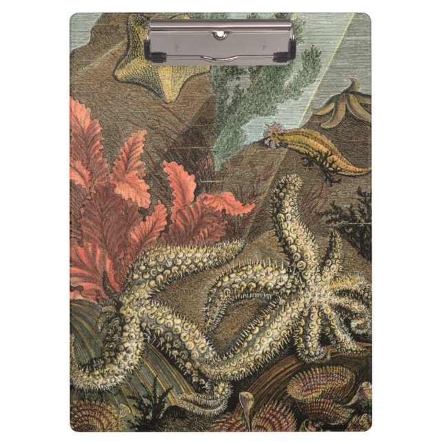 Carpeta De Pinza Bajo el mar (Anverso)