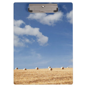 Carpeta De Pinza Balas de heno en campo