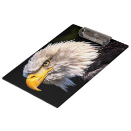 Carpeta De Pinza Bald Eagle