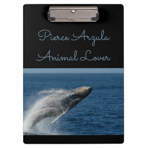 Carpeta De Pinza Ballena jorobada - la ruptura: