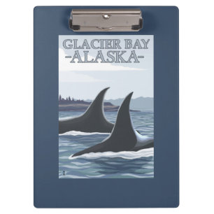 Carpeta De Pinza Ballenas #1 - Glacier Bay, Alaska de la orca