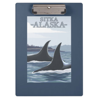 Carpeta De Pinza Ballenas #1 - Sitka, Alaska de la orca