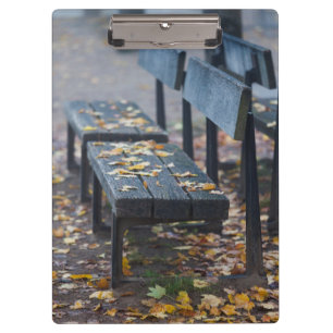 Carpeta De Pinza Banco del parque en una mañana brumosa, Alemania
