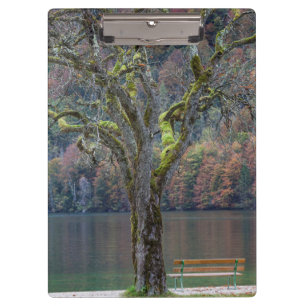 Carpeta De Pinza Banco tranquilo junto a un lago, Alemania