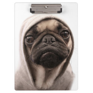 Carpeta De Pinza Barro amasado en una sudadera con capucha