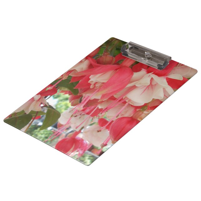 Carpeta De Pinza Bashkirtseff (Angular)