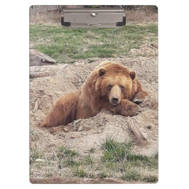 Carpeta De Pinza Bear Nap