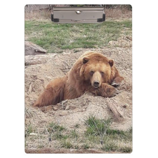 Carpeta De Pinza Bear Nap