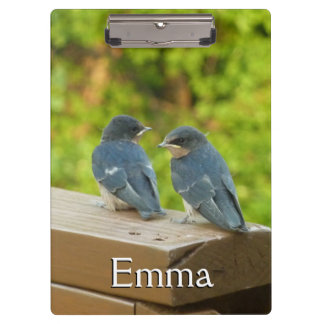 Carpeta De Pinza Bebé Traga fotografías de aves naturales