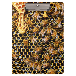 Carpeta De Pinza Bee Hive con Honeycomb cerca