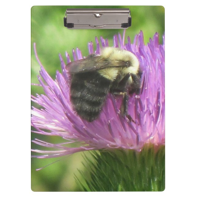 Carpeta De Pinza Bee On Thistle Clipboard (Anverso)