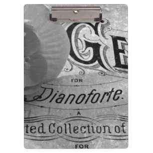 Carpeta De Pinza Begonia Gems Pianoforte