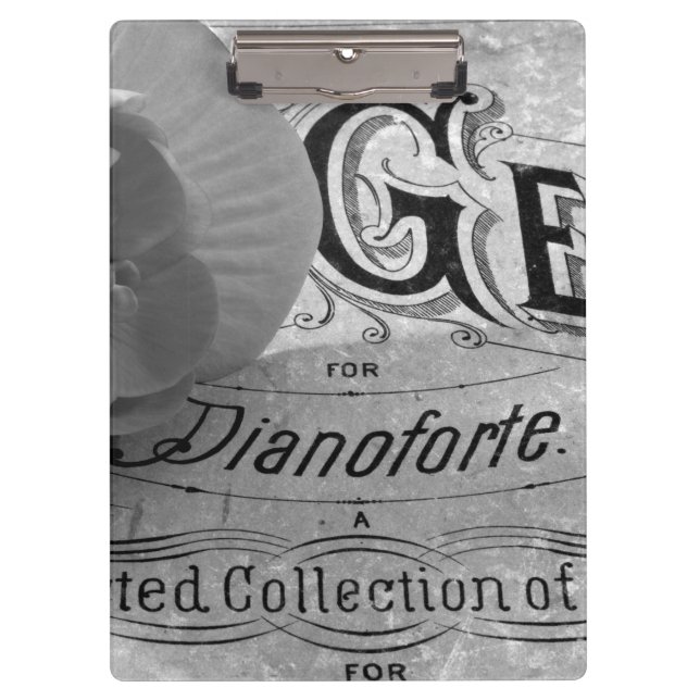 Carpeta De Pinza Begonia Gems Pianoforte (Anverso)