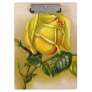 Carpeta De Pinza Bella Artes de impresión amarilla rosa antigua