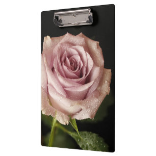 Carpeta De Pinza bella rosa rosa