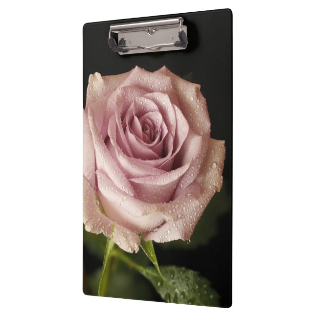 Carpeta De Pinza bella rosa rosa (Izquierda)