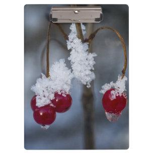 Carpeta De Pinza Berries heladas