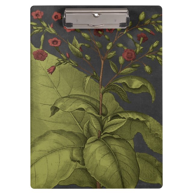 Carpeta De Pinza Besler Dramatique I (Anverso)